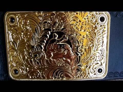 WWE Style Real Big Gold Championship Wrestling Belt (triple H nameplate)  @1akgator