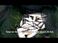 An afternoon Coarse Fishing on Grand Canal in Dublin Ireland