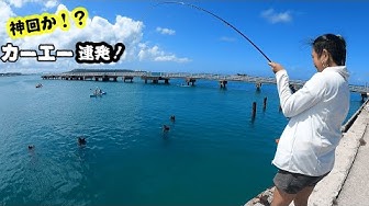 沖縄釣り Youtube