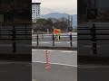 懐旧、舟木一夫さん「思い出カフェオーレ」。長浜城にやってきました〜、ここのホテルのラウンジでカフェオーレ☕️を注文、日常を忘れて心のリフレッシュができますね〜