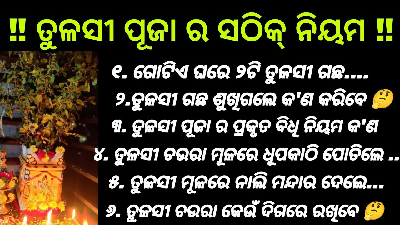 ପ୍ରତିଦିନ ତୁଳସୀ ପୂଜା ର ସଠିକ୍ ନିୟମ ‼️Tulsi puja vidhi‼️ତୁଳସୀ ପୂଜା ମନ୍ତ୍ର‼️ କେବେ ଜଳ ଅର୍ପଣ କରିବେ ନାହିଁ 🤔