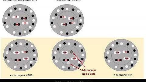 Video introduction to Zhaoping 2021