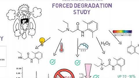 DMF section 3.2.S.7 - Stability