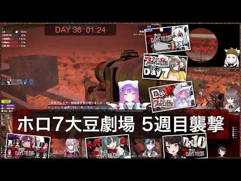 [6視点同時再生]5週目襲撃(2026/09/09)[#ホロ7大豆劇場]