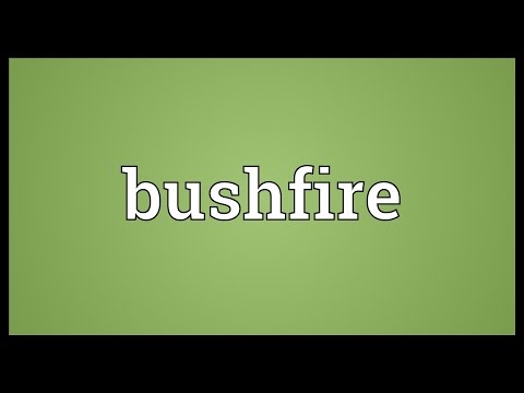 Video: In the bushfire meaning?