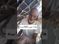 هاذا عمره 120سنه لايك اشتراك بالقناه ليصلك كل جديد