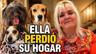 Salvamos a sus perras