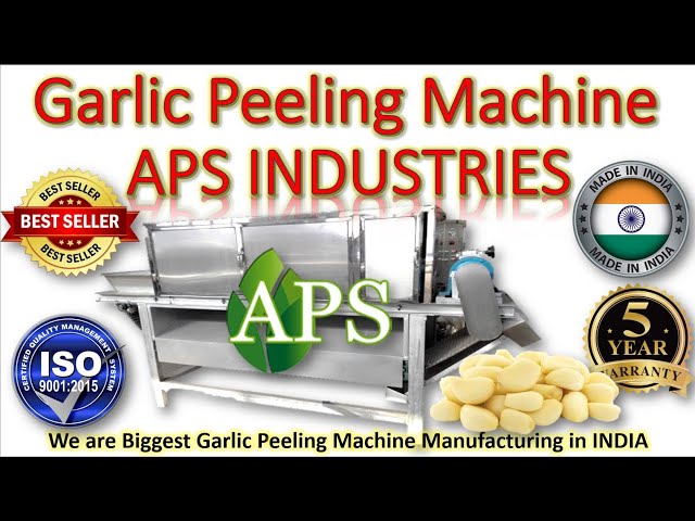 Garlic Peeling Machine Manufacturer Supplier from Rajkot Gujarat