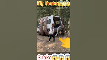 Big Snake😱 #snake #youtubeshorts #shorts #trending #viral #video #youtube #funny #comedy #respect