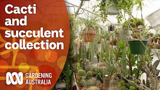 A cacti and succulent collector's garden | Garden Design and Inspiration | Gardening Australia