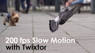 Sony a6300 - 200fps Slow Motion with Twixtor