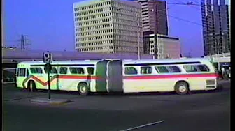 Mississauga City Buses - 1989 to 2000