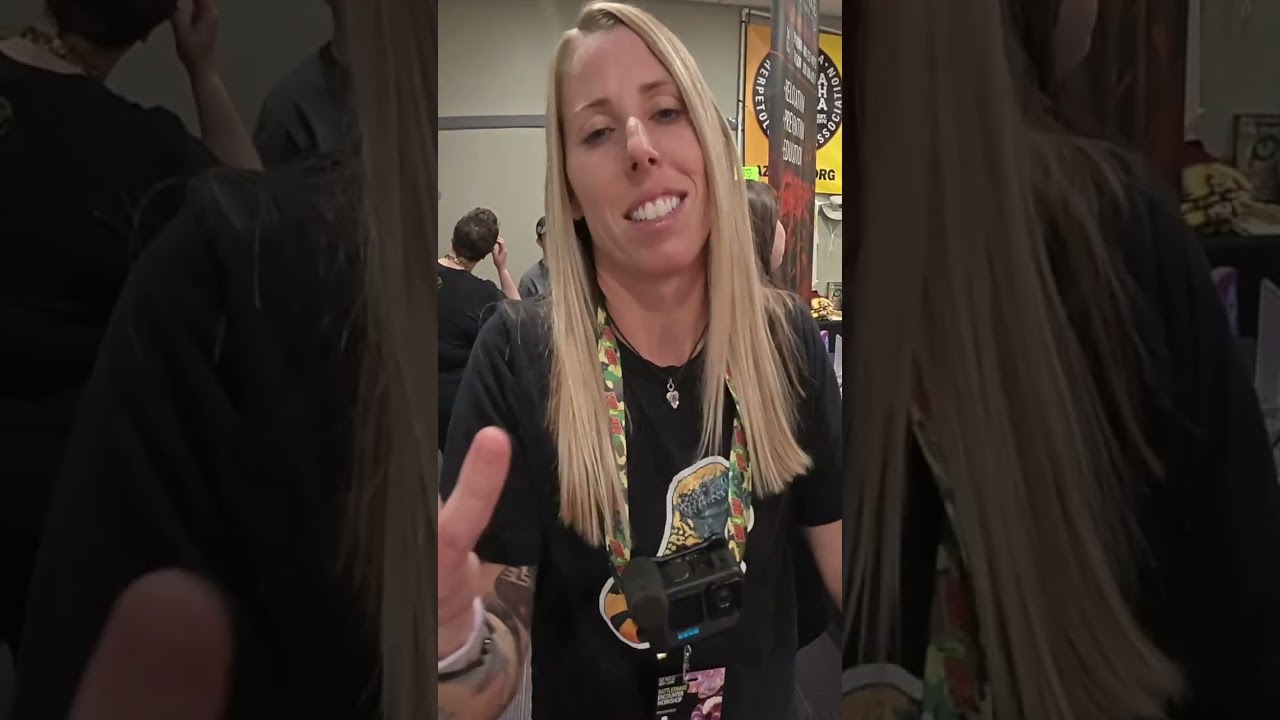 NO Timber Rattlesnakes in Arizona