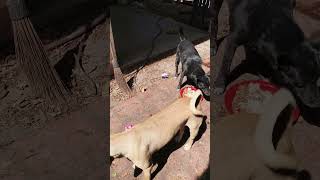 Syoutu.behkbsmtw6E0A