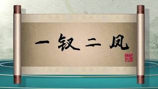 坑王驾到 第四季（最新一期20200704）|一钗二凤|连理枝花开两朵 命中缘死生同衾|郭德纲【高清】单口相声