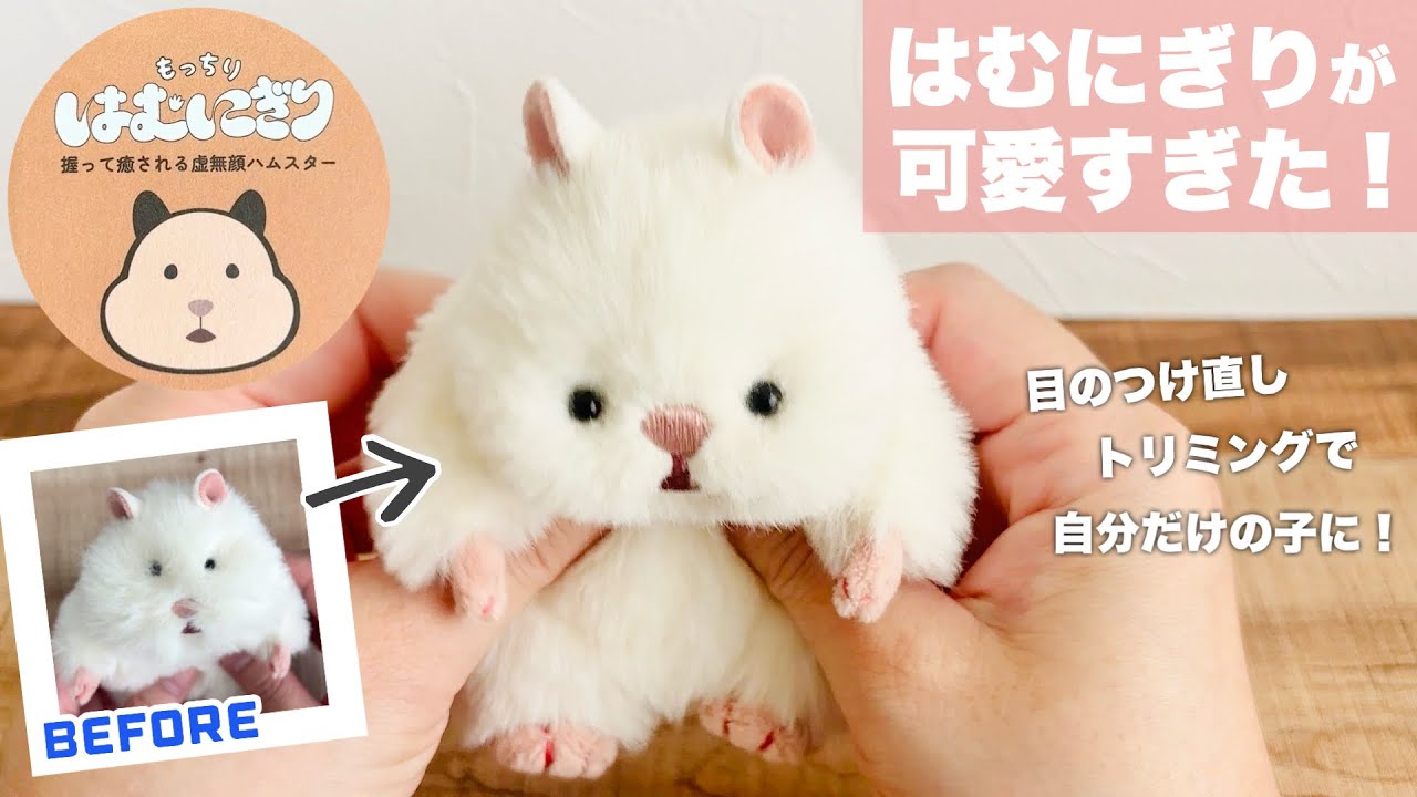 Review] The Hamu Nigiri is too cute! [Trimming & Eye Adjustment