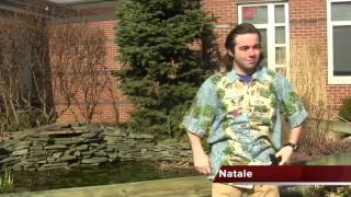 20152016 TV 2 Broadcast News Open 2B