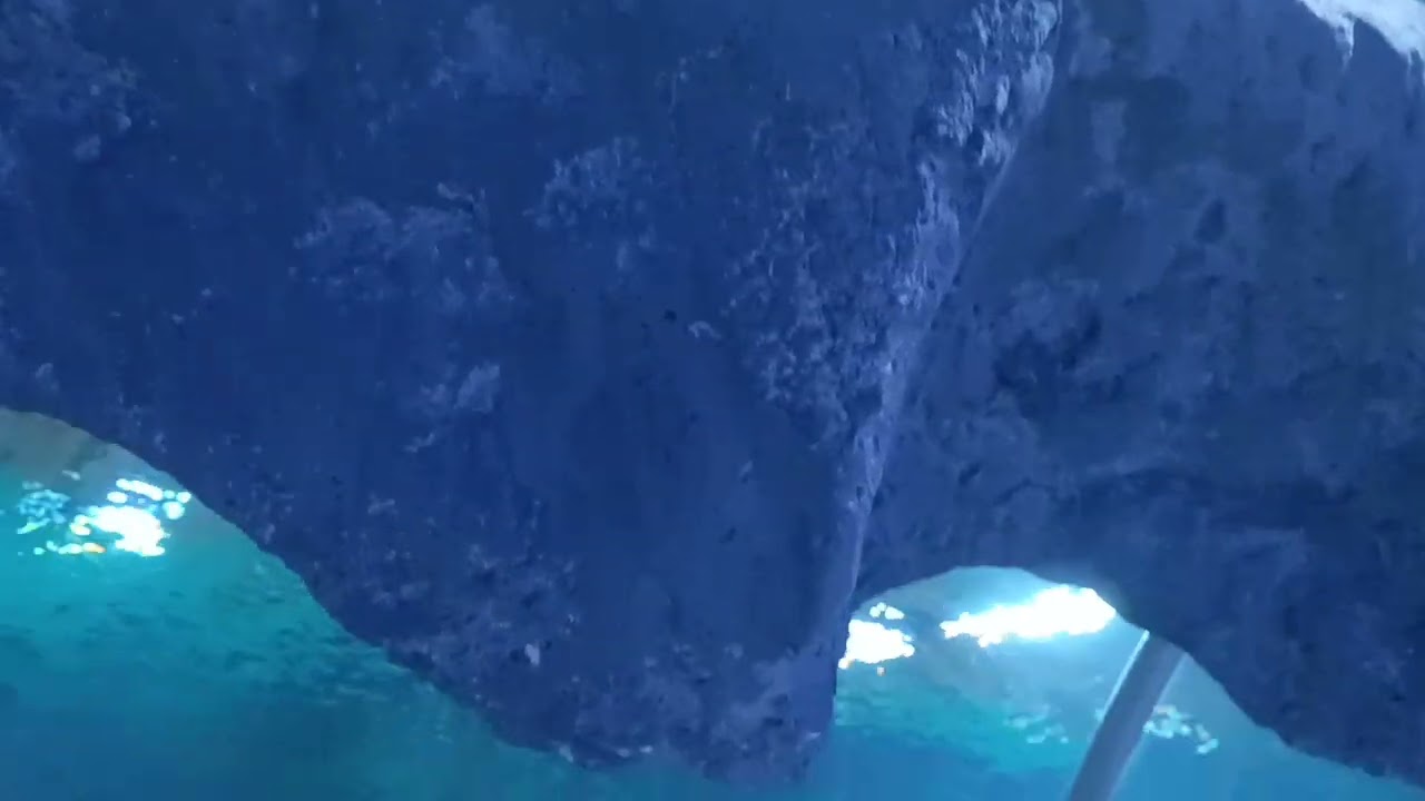 Orientarium Łódź przygoda z dziećmi #łódź #orientarium #zoo #family #zdziecmiprzezswiat #familyday 