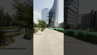 #magnum #office #vlog #vlogseries #officelife #travel #corporate #corporatelife #walking #saturday