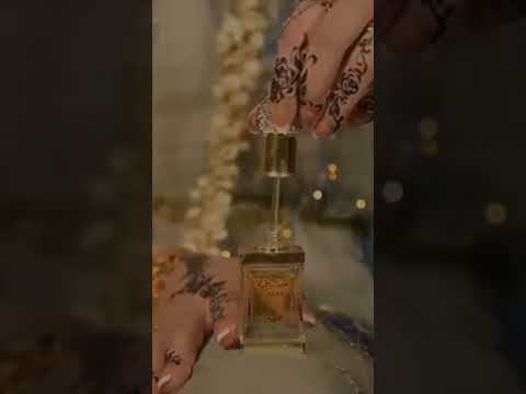 ياطير الحب اليمن احبك