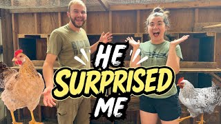 He Surprised Me With Our Chicken Coop! | Getting Ready for Fresh Eggs
