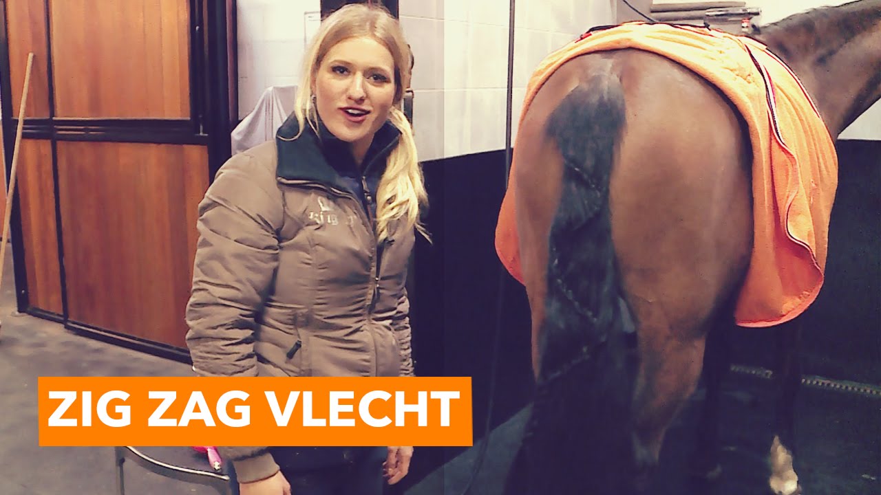 Invlechten van manen en staart