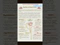 #neetbiology #nursing #nursing #tnpscstudy #anatomy #pgtrb #gkquiz
