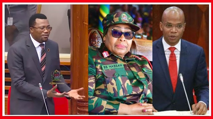 LUHAGA MPINA APONGEZA UTENGUZI wa WAZIRI MAKAMBA KUWA WAZIRI wa NISHATI - AJILIPUA BUNGENI BILA HOFU