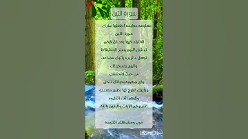 فوائد قراءة سورة التين