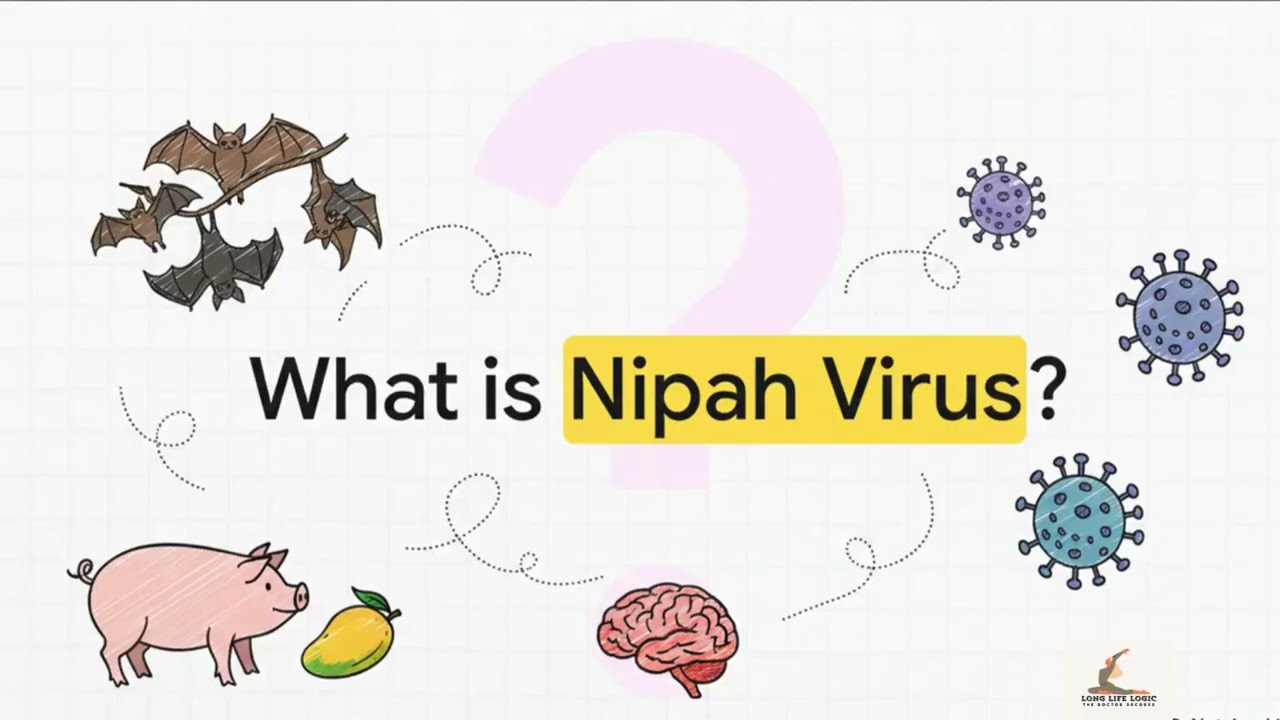 Nipah Virus Explained :The Deadly Infection the World Is Watching 2