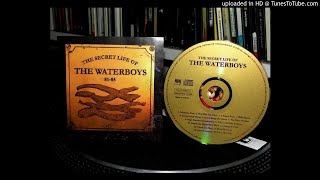 The Waterboys - love that kills