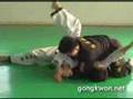 Gongkwon yusuls grand master kangjun basic motions korean martial arts