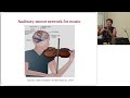 IMéRA Présentation De Virginia Penhune Chaire ILCB IMéRA Sur Langage Et Cerveau IMéRA Présentation De Virginia Penhune Chaire ILCB IMéRA Sur Langage Et Cerveau
