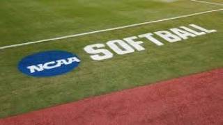 EXCLUSIVE Interview with D1 Softball Committee Chairperson Natalie Honnen