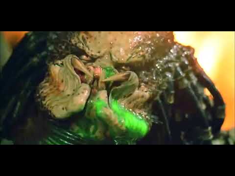 How PREDATOR should have ended.
