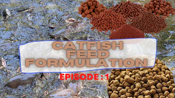 CATFISH FEED FORMULATION | hidden truths and feed ingredients identification ( Ep.1)