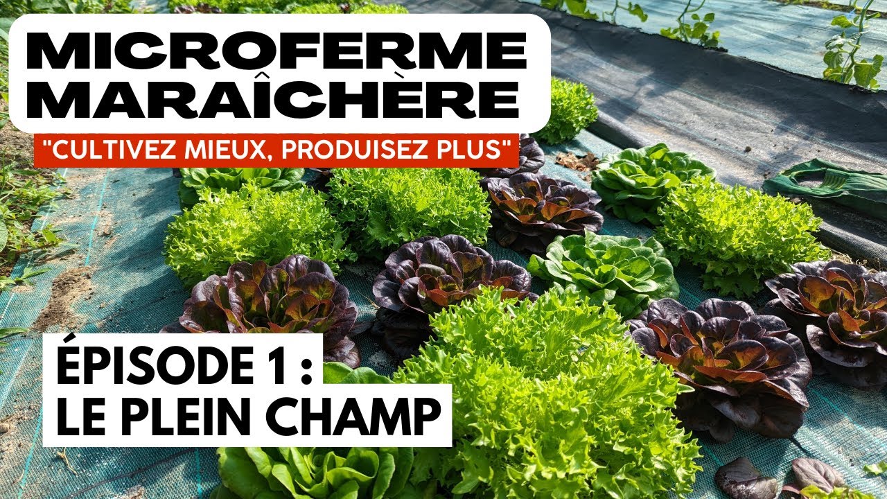 ÉPISODE 1 : Visite du plein champ d'une microferme maraîchère