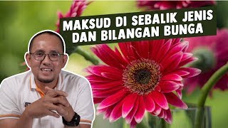 Download Lagu Maksud Di Sebalik Jenis dan Bilangan Bunga MP3