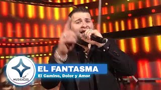 EL FANTASMA - EL CAMINO, DOLOR Y AMOR [EN VIVO]