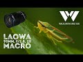 Review of the Laowa 90mm f/2.8 2x ultra macro lens