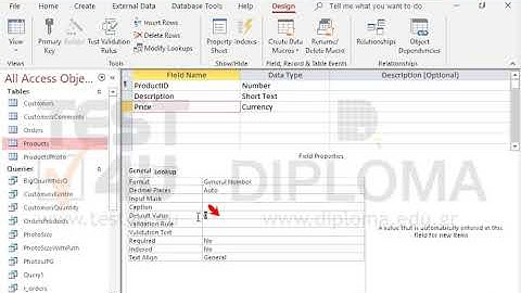 48833# Set number 100 as default value of the Price field in the Products table  Save and close