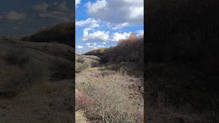 ОСЕНЬ 🍁🍂🍁. Харьковская область