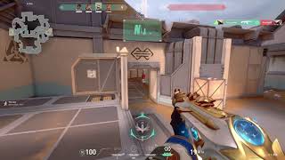 human triggerbot