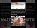 Cat meme