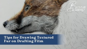 Tips for Drawing Textured Fur on Drafting Film | Top Tips
