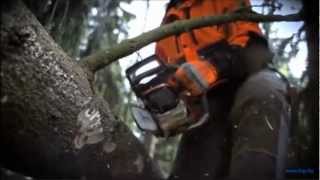 Новинка! Бензопила Husqvarna 562 XP