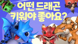 초보자 필수! 드래곤 자주 묻는 질문｜드엠 가이드 [드래곤 엠파이어]