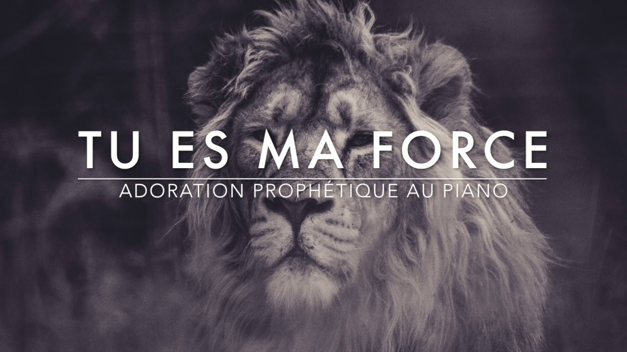 Watch Tu es ma force - Adoration Prophétique au Piano l Musique de Méditation l Louanges on YouTube Watch Tu es ma force - Adoration Prophétique au Piano l Musique de Méditation l Louanges on YouTube