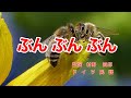 ぶん ぶん ぶん|歌詞付き|ドイツ民謡|ぶんぶんぶん はちがとぶ