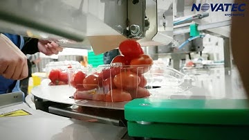 Novatec S.A. - Processing & Packing Line for Cherry Tomatoes & Berries (Blueberries, etc.)